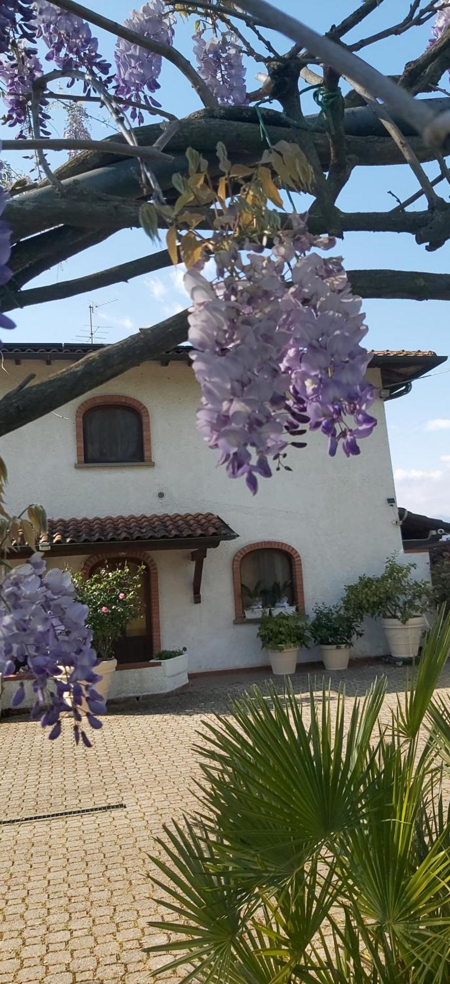 Villa Fioccomare Camaiore Exterior foto
